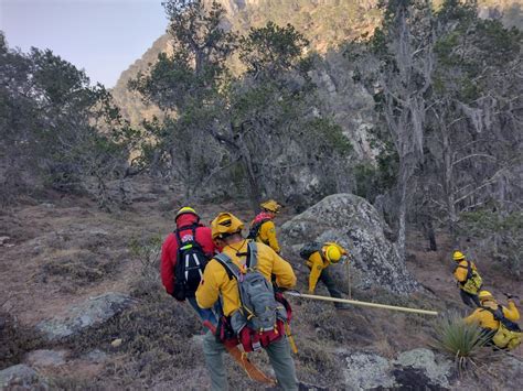 DE FORMA COORDINADA SE ATIENDEN INCENDIOS FORESTALES EN SLP PROTECCIÓN