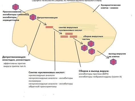 Противовирусные препараты - презентация онлайн