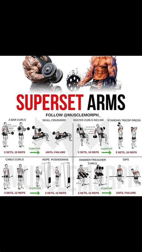 Top 10 superset arm workout ideas and inspiration