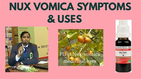 Nux Vomica Symptoms And Uses Youtube