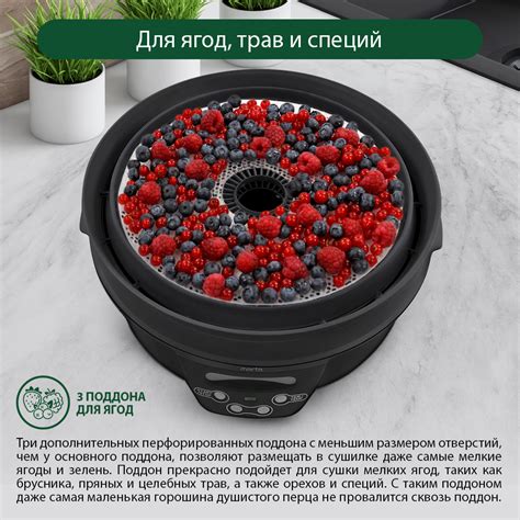 Дегидратор сушилка для овощей электросушилка MARTA MT-FD1888D 16 ...