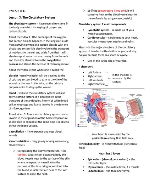 Pmls Lesson Part Notes Pmls Lec Lesson The Circulatory