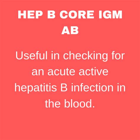 Hepatitis B Core Antibody IgM