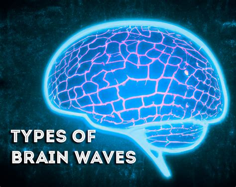 Types Of Brain Waves Scienceluxe