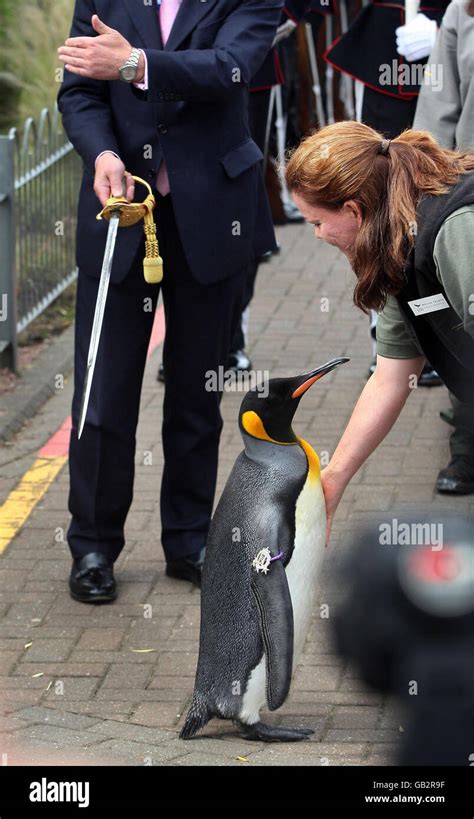 Edinburgh Zoo penguin and Colonel-in-Chief of the Norwegian King's
