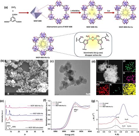 Approach Of A Small Protein To The Biomimetic Bis Oxo Dicopper