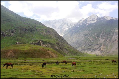 India Travel | Pictures: Drass valley