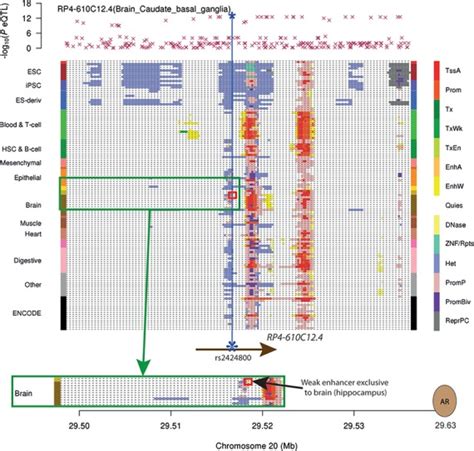 Tissue Specific Sex Differences In Human Gene Expression Pmc