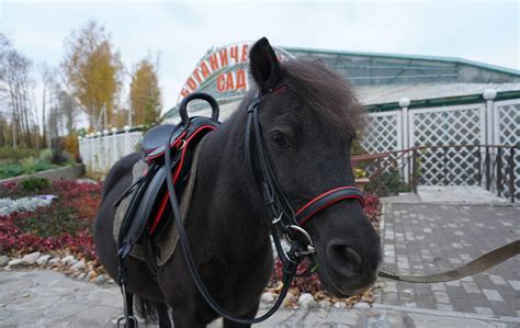 Ботанический сад Botanika