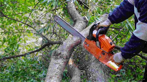 Best Chainsaw Under 200 For Budget Conscious Buyers In 2024 Skilledhub