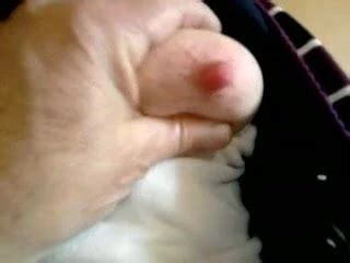 Smal Niples Nipples Nipples Porn XHamster