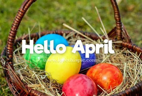 colorful easter eggs  april pictures   images