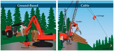 Safety | Free Full-Text | Human Factors Affecting Logging Injury