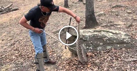 Rattlesnake hunter has some advice on how to catch and bag the venomous
