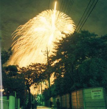 Rinko Kawauchi A Retrospective Gallery Galerie Christophe Guye