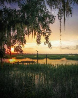 Pawleys Island South Carolina South Carolina Coast South Carolina