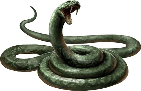 Snake Png Png Download Nagini Harry Potter - Clip Art Library