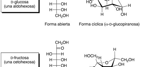 C Mo Se Le Dice Al Az Car Cientificamente Re Genetic