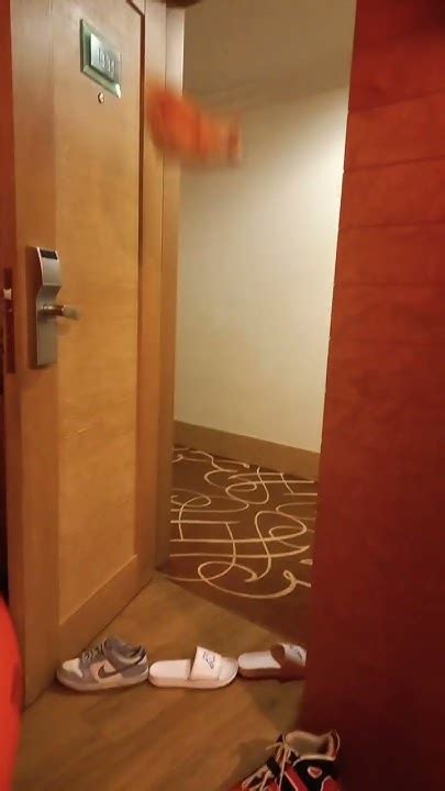 супер корги - YouTube