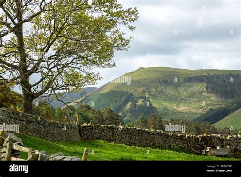 Newby Kipps Hi Res Stock Photography And Images Alamy