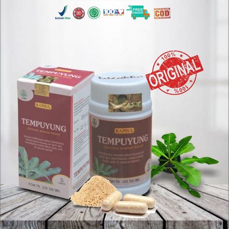 Jual HERBAL OBATI BATU GINJAL TEMPUYUNG Oryginal Produk Kemasan