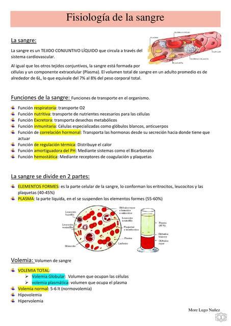 Fisiología De La Sangre More Lugo Udocz