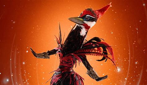 ‘The Masked Singer’ spoilers: Who is Woodpecker?