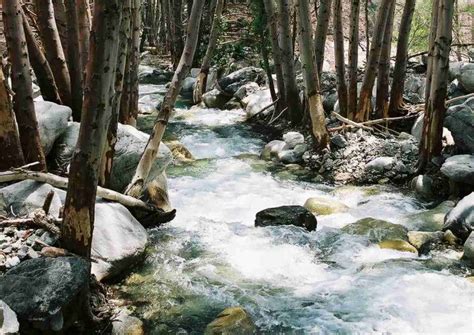 San Gabriel Mountains Adventures Archives Calwild