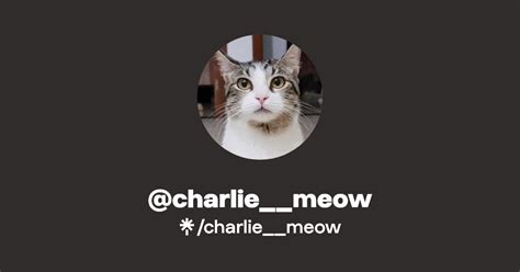 Charliemeow Instagram Tiktok Linktree