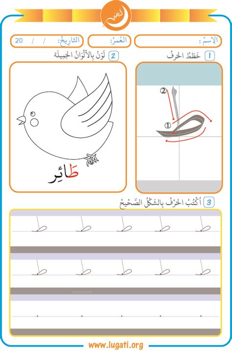 حرف الطاء لغتي