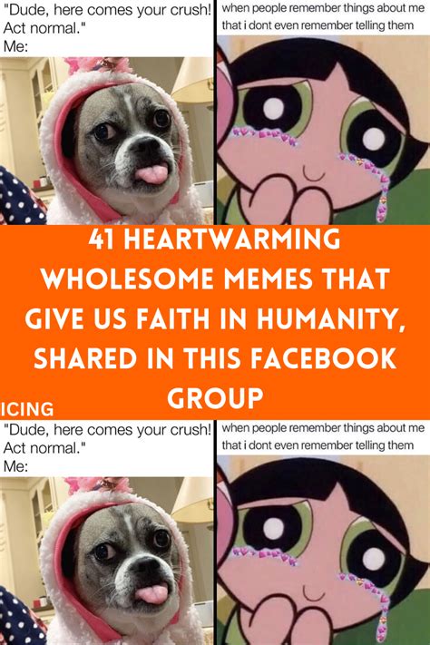 41 Heartwarming Wholesome Memes That Give Us Faith In Humanity Shared