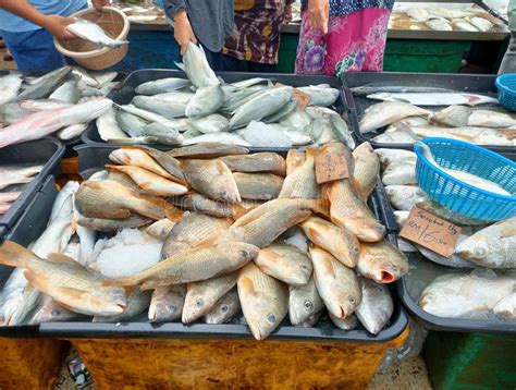 Fresh Fish And Other Seafood Are On Sale In Wet Markets Stock Photo