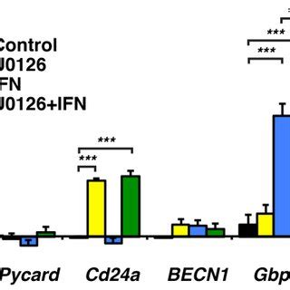 Validation of gene expression change of 5 additional genes. A. RT–qPCR ...