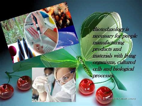The Spheres Of Biotechnological Application And Biotechnological Process