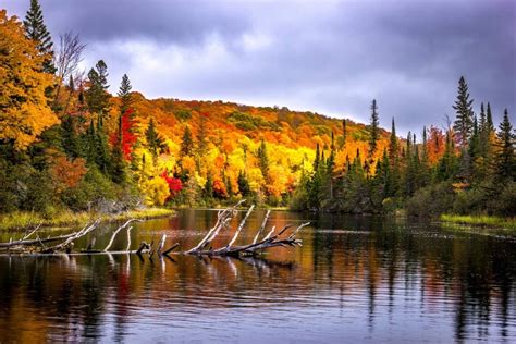 Important Steps To Winterize Your Cottage Rental Cottagelink Rental