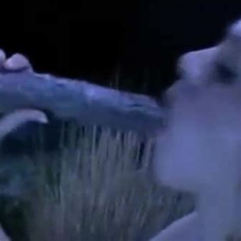 Fantasy Sex Monsters And Alien Free Alien Tube Porn Video Xhamster