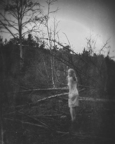 In Flux — Elizabeth Bailey