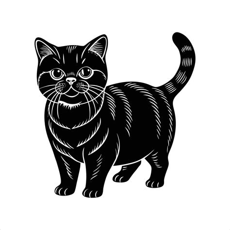 Best Exotic Shorthair Cat 55784041 Vector Art at Vecteezy