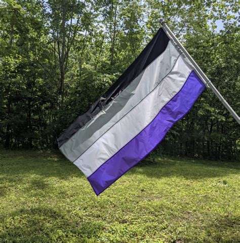 Custom Queer-Made Pride Flags Asexual Bisexual Pansexual | Etsy