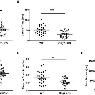 Anxiety Like Behavior Tests On WT And Olig2 CKO Mice Open Field Test