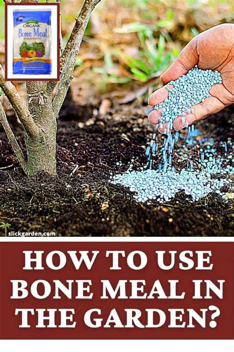 How To Use Bone Meal In The Garden Slick Garden