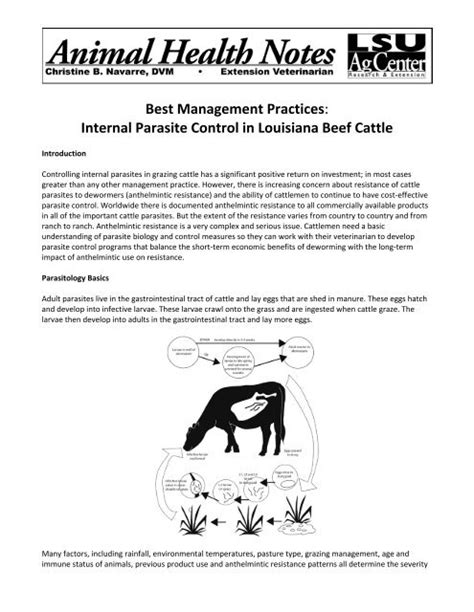 Best Management Practices Parasite Control In Beef Cattle