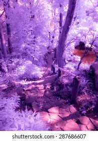 Invisible Naked Eye Images Stock Photos Vectors Shutterstock