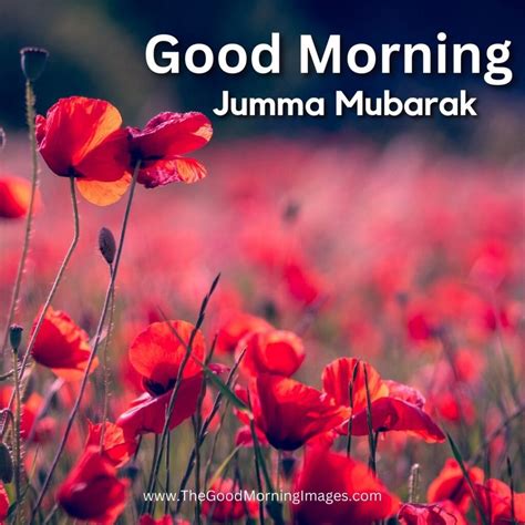 50 Good Morning Jumma Mubarak Good Morning Wishes