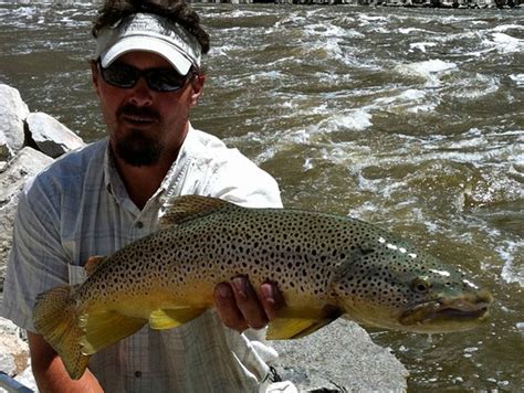 Miracle Mile North Platte River Grey Reef Anglers And Wingshooting