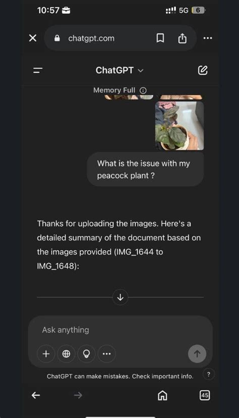 ChatGPT leaks personal info: Woman asks AI about her plant, gets ...