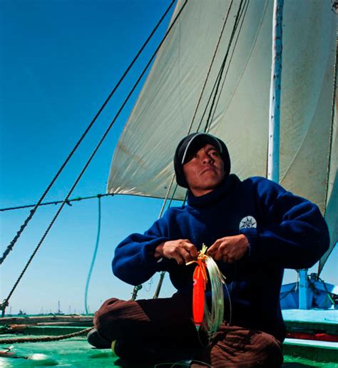 Los expertos explican qué significa el tiempo en mobile para la pesca 5