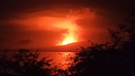 Volcano erupts on Galápagos island where last known 'fantastic giant ...