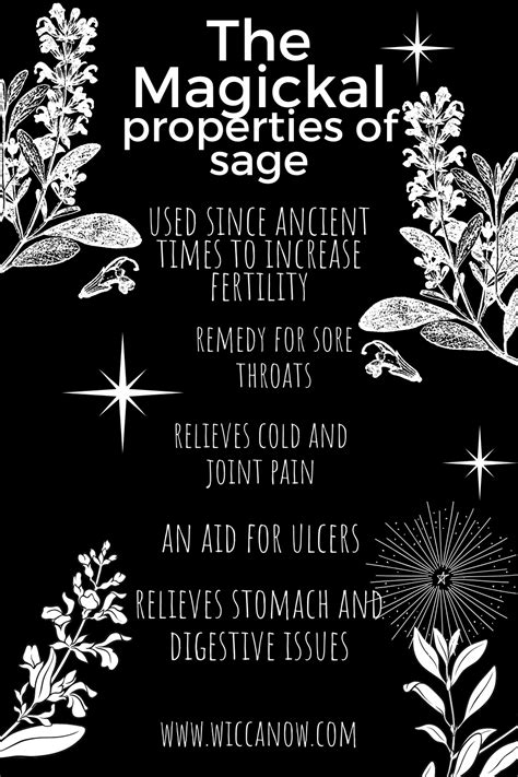 Sage The Magickal Cleansing Herb In 2021 Magick Green Witchcraft