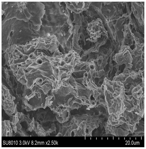 Preparation Method And Application Of Biomass Carbon Based Fe Single